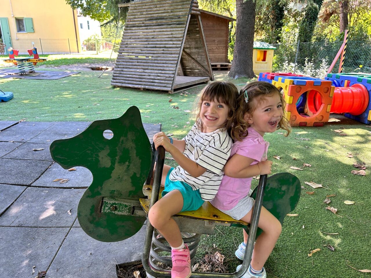 WhatsApp Image 2025-01-10 at 12.55.54